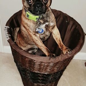 Meet your Posher, Vicki